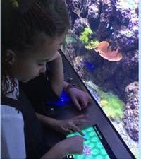 Year 4 visit The Deep