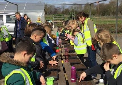 Year 5's egg-citing week
