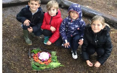 Year 2 visit to Brackenhurst
