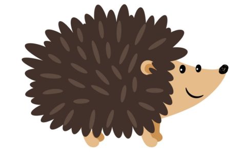 Hedgehog Awareness Week