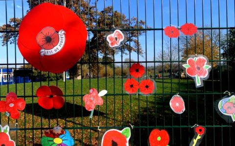 Creative tributes for Remembrance Day