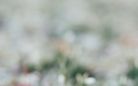 Newsletter - 26 February 2021