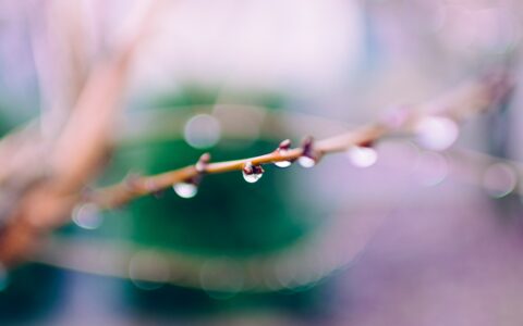 Newsletter - 5 February 2021