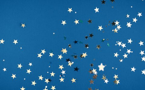 Newsletter - 19 December 2022