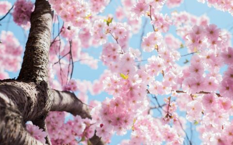 Newsletter - 27 March 2023