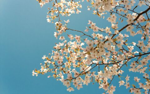 Newsletter - 20 March 2023