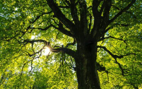 Newsletter - 21 September 2023